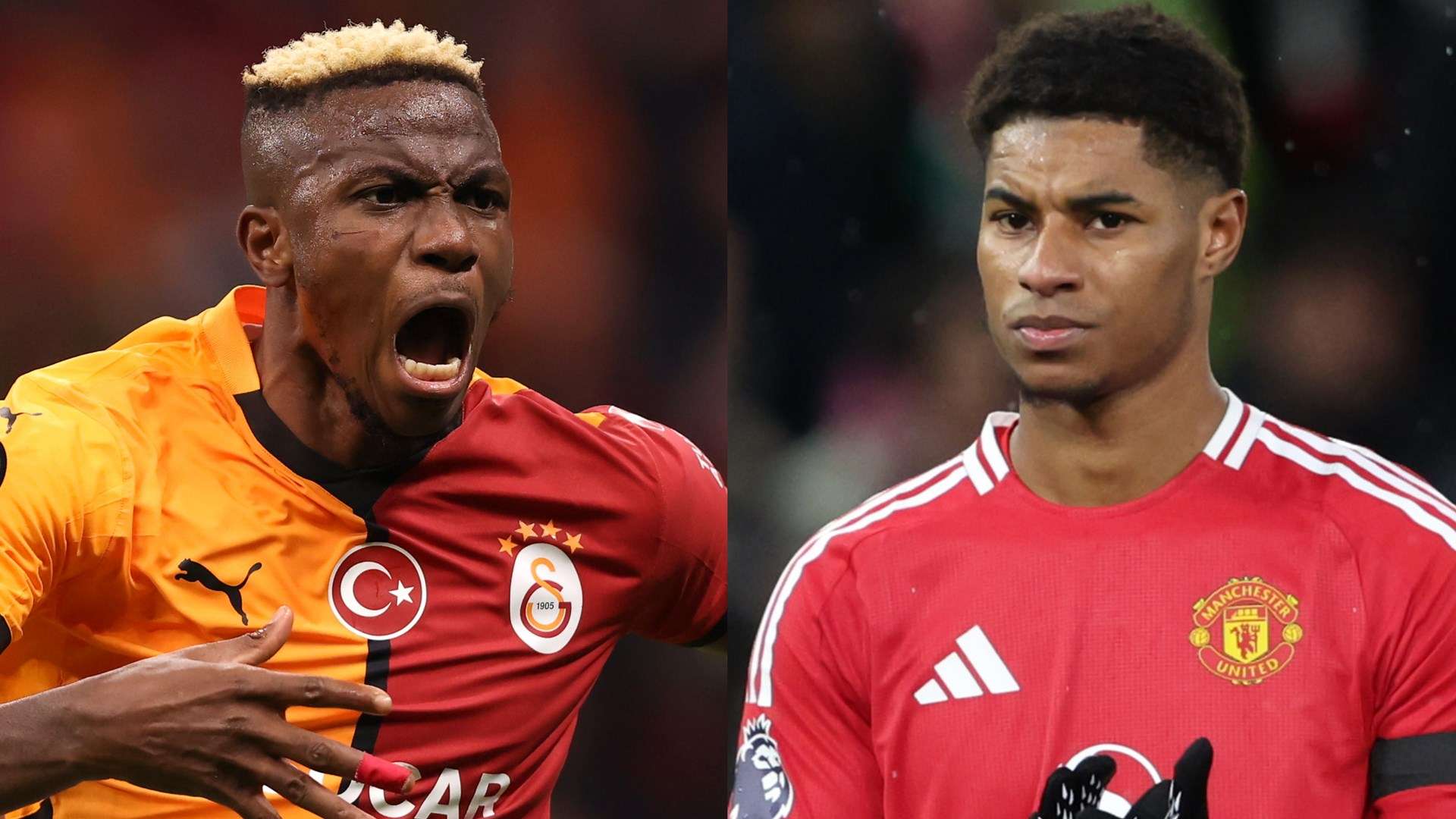 阿莱克斯已 阿莱克斯已